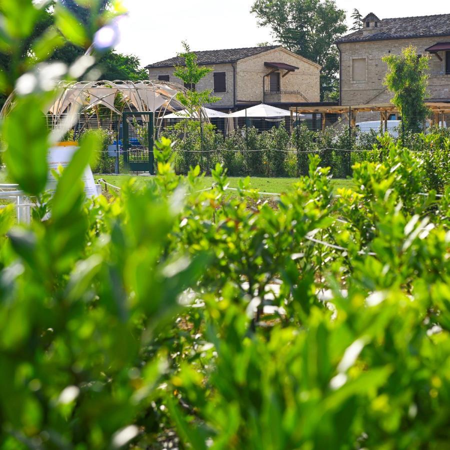 Moretti Village - Sophie Rooms Country House Civitanova Marche Bagian luar foto
